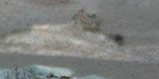  هل تم اكتشاف توأم ابو الهول على المريخ؟ صور وفيديو صورة رقم 2