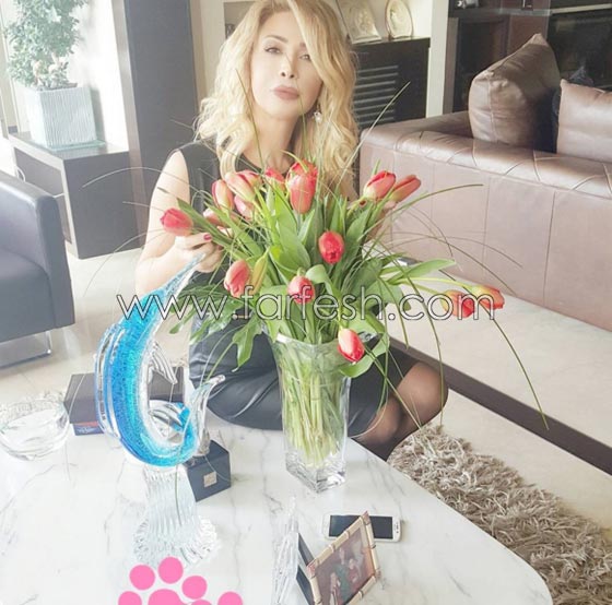 نوال الزغبي لمتابعة وقحة: تربية الكلاب أشرف من تربيتك! صورة رقم 6 نوال الزغبي لمتابعة وقحة: تربية الكلاب أشرف من تربيتك! صورة رقم 6