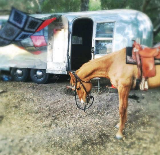 تشانينغ تيتوم: هذه هي هدية عيد ميلادي من زوجتي! صورة رقم 3