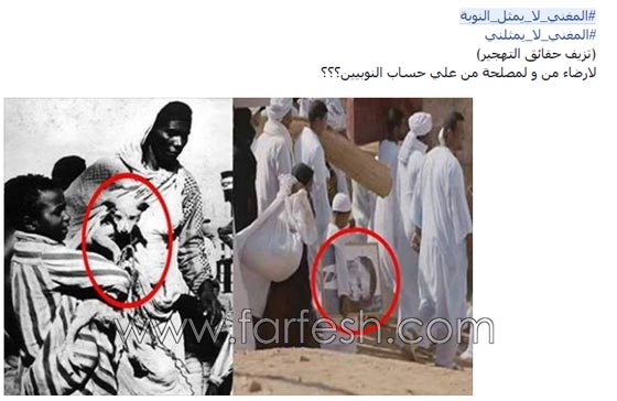 غضب النوبيين من الكينغ محمد منير بسبب مسلسل المغني! صورة رقم 6 غضب النوبيين من الكينغ محمد منير بسبب مسلسل المغني! صورة رقم 6