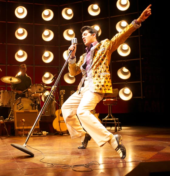 هل انتحر الفيس برسلي بجرعة زائدة من المسكنات؟ صورة رقم 5 هل انتحر الفيس برسلي بجرعة زائدة من المسكنات؟ صورة رقم 5