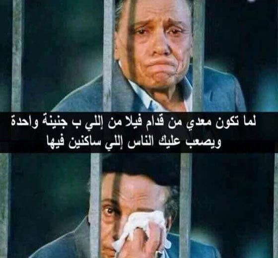 الدوندو والاسطورة اكثر موضوعات اثرت في المجتمع المصري برمضان صورة رقم 3 الدوندو والاسطورة اكثر موضوعات اثرت في المجتمع المصري برمضان صورة رقم 3