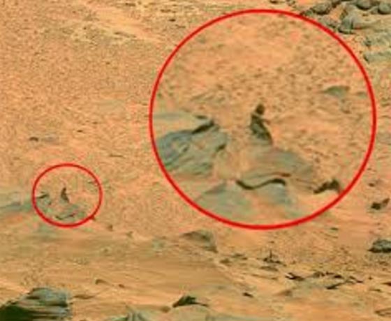 هل هنالك من احتل عربة ناسا على المريخ؟ شاهد صورة للكائن الفضائي! صورة رقم 3