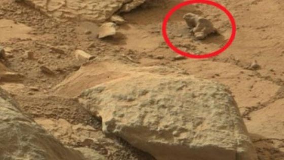 هل هنالك من احتل عربة ناسا على المريخ؟ شاهد صورة للكائن الفضائي! صورة رقم 4