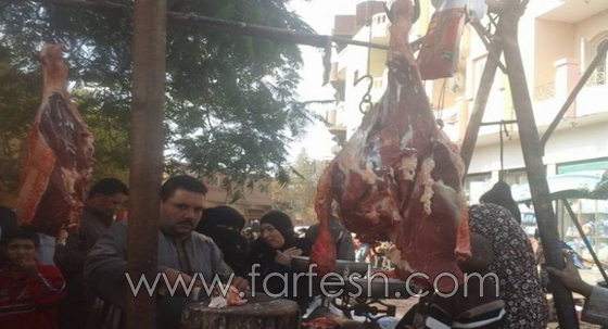 صور جزارين من الأفلام المصرية: احذر من المعلم (عكوة) و (العنتبلي) صورة رقم 4 صور جزارين من الأفلام المصرية: احذر من المعلم (عكوة) و (العنتبلي) صورة رقم 4