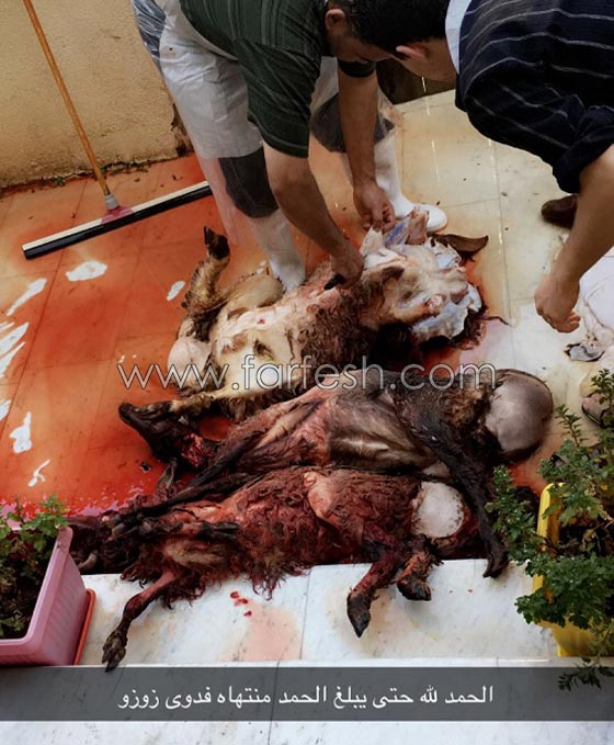 صور زين كرزون تحتفل بالافراج عنها بالورد والحلويات والمنسف! صورة رقم 8 صور زين كرزون تحتفل بالافراج عنها بالورد والحلويات والمنسف! صورة رقم 8