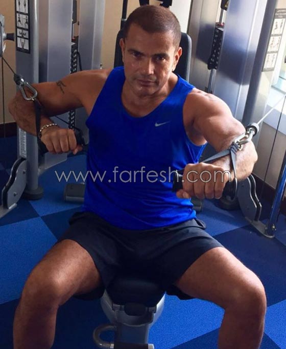فيديو محمد منير يتنبأ بنجاح الهضبة عمرو دياب في لقاء قديم صورة رقم 10 فيديو محمد منير يتنبأ بنجاح الهضبة عمرو دياب في لقاء قديم صورة رقم 10
