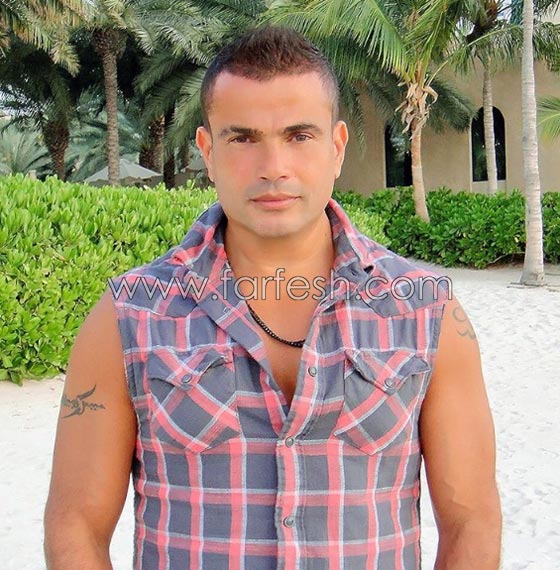 فيديو محمد منير يتنبأ بنجاح الهضبة عمرو دياب في لقاء قديم صورة رقم 9 فيديو محمد منير يتنبأ بنجاح الهضبة عمرو دياب في لقاء قديم صورة رقم 9