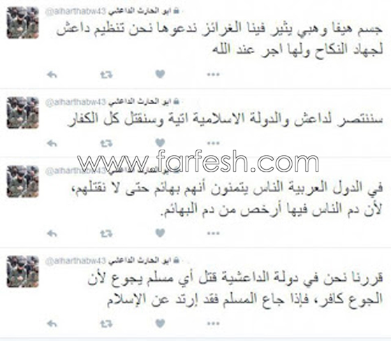 داعش يدعو هيفاء وهبي الى جهاد النكاح: جسمها يثير فينا الغرائز!  صورة رقم 3