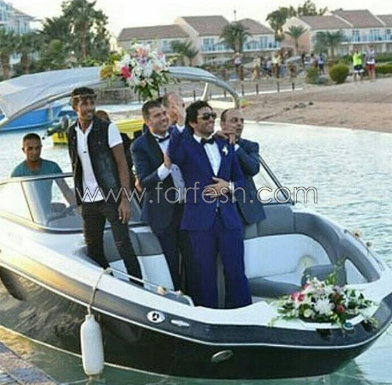 5 ازمات واجهت حفل زفاف حسن الرداد وايمي سمير غانم صورة رقم 1 5 ازمات واجهت حفل زفاف حسن الرداد وايمي سمير غانم صورة رقم 1