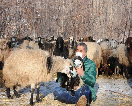 المغني التركي ايدن ايدن يغني (لا تُقبّلني) منعا لانتشار الانفلونزا.. فيديو صورة رقم 5 المغني التركي ايدن ايدن يغني (لا تُقبّلني) منعا لانتشار الانفلونزا.. فيديو صورة رقم 5