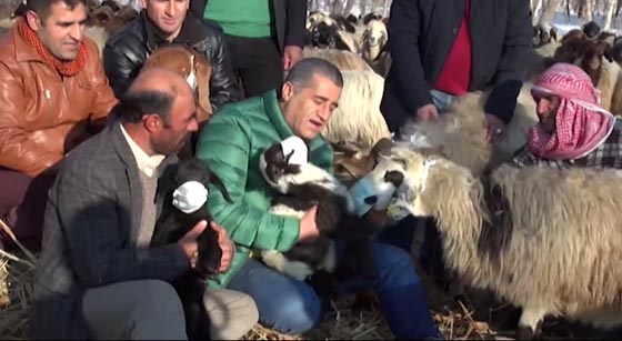 المغني التركي ايدن ايدن يغني (لا تُقبّلني) منعا لانتشار الانفلونزا.. فيديو صورة رقم 6 المغني التركي ايدن ايدن يغني (لا تُقبّلني) منعا لانتشار الانفلونزا.. فيديو صورة رقم 6