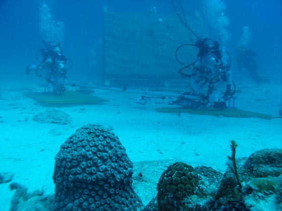 رواد فضاء يعيشون تحت الماء استعدادا لاقتحام العالم الخارجي.. فيديو صورة رقم 16