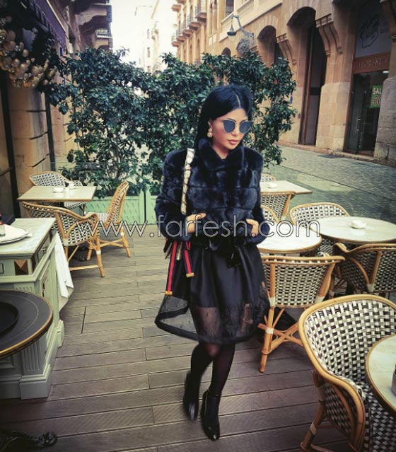 حرب الشتائم القبيحة تشتعل بين هيفاء وهبي والإعلامية نسرين ظواهرة  صورة رقم 12
