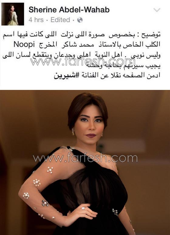 5 فنانين عرب متهمين بالعنصرية والطبقية والتعالي على الفقراء! صورة رقم 2 5 فنانين عرب متهمين بالعنصرية والطبقية والتعالي على الفقراء! صورة رقم 2