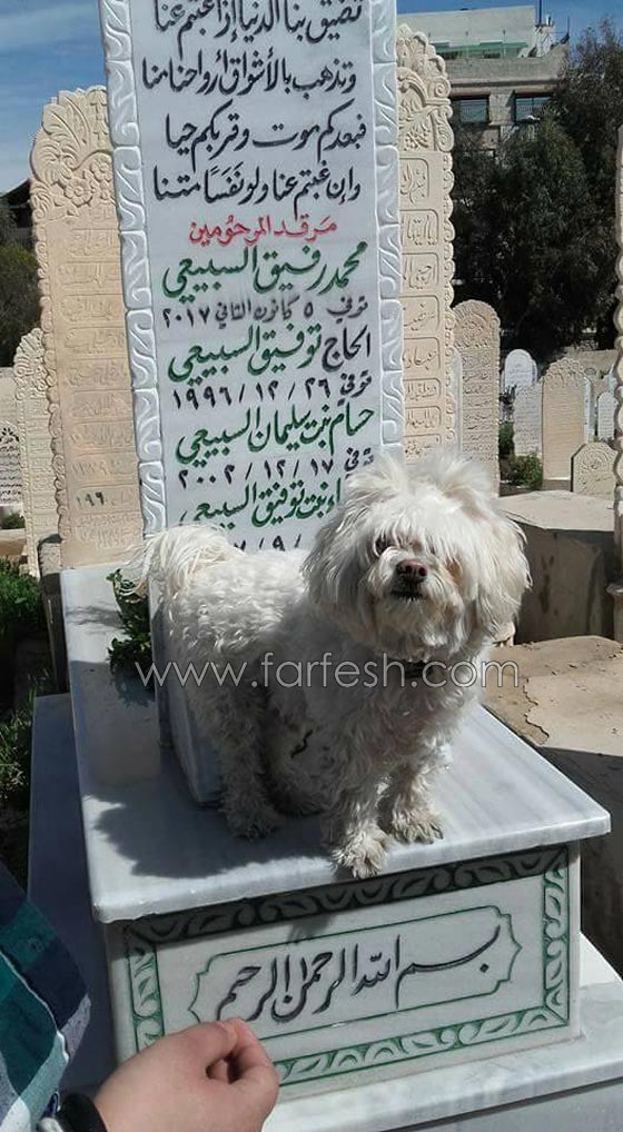 إبنة إبنة