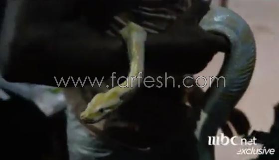 فيديو حصري: لقطات من كواليس عرب غوت تالنت لم تروها على الشاشة صورة رقم 4 فيديو حصري: لقطات من كواليس عرب غوت تالنت لم تروها على الشاشة صورة رقم 4