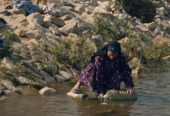 شيخ الازهر ضد دلال عبد العزيز بسبب تلوث المياه في مصر! فيديو صورة رقم 4 شيخ الازهر ضد دلال عبد العزيز بسبب تلوث المياه في مصر! فيديو صورة رقم 4