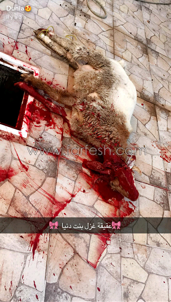 صور: دنيا بطمة تحتفل بعقيقة إبنتها غزل في البحرين صورة رقم 2 صور: دنيا بطمة تحتفل بعقيقة إبنتها غزل في البحرين صورة رقم 2