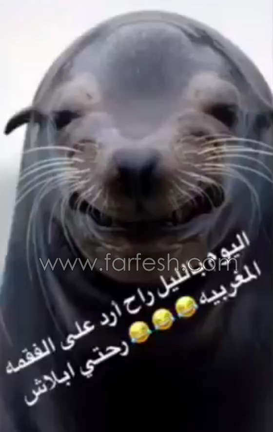 الاعلامية مي العيدان ترد على هجوم دنيا بطمة عليها وستلجأ للقضاء صورة رقم 2 الاعلامية مي العيدان ترد على هجوم دنيا بطمة عليها وستلجأ للقضاء صورة رقم 2