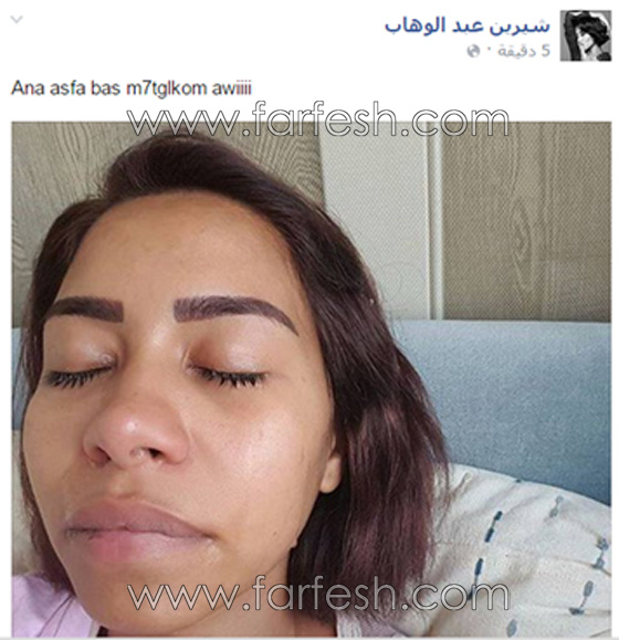 10 فنانين حذفوا صورهم منهم الاسطورة، انغام، الزعيم وشيرين صورة رقم 2 10 فنانين حذفوا صورهم منهم الاسطورة، انغام، الزعيم وشيرين صورة رقم 2