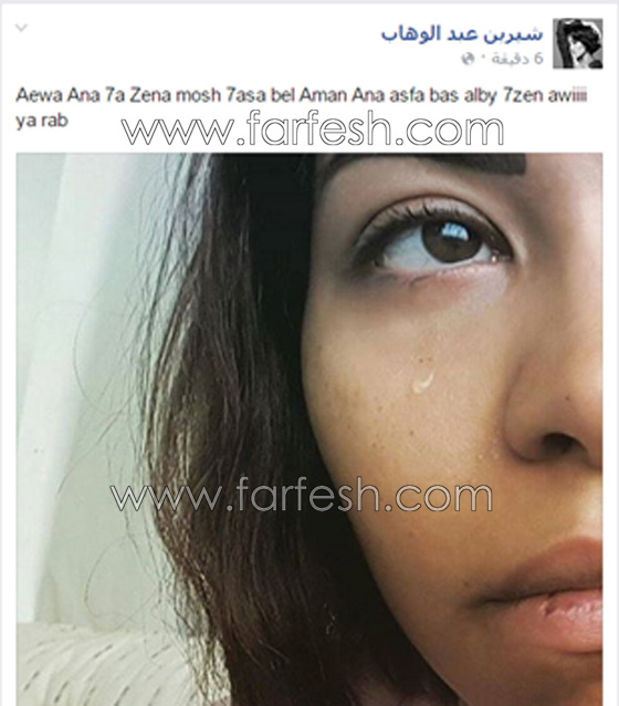 10 فنانين حذفوا صورهم منهم الاسطورة، انغام، الزعيم وشيرين صورة رقم 3 10 فنانين حذفوا صورهم منهم الاسطورة، انغام، الزعيم وشيرين صورة رقم 3
