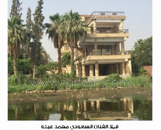 صور فيلات ومزارع اشهر الفنانين في مصر بينهم الزعيم وليلى علوي صورة رقم 8 صور فيلات ومزارع اشهر الفنانين في مصر بينهم الزعيم وليلى علوي صورة رقم 8