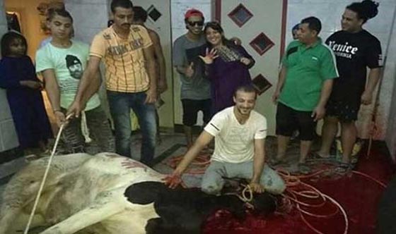 صور فنانين مع خروف العيد منهم محمد رمضان، الراقصة دينا والشحرورة صورة رقم 2 صور فنانين مع خروف العيد منهم محمد رمضان، الراقصة دينا والشحرورة صورة رقم 2