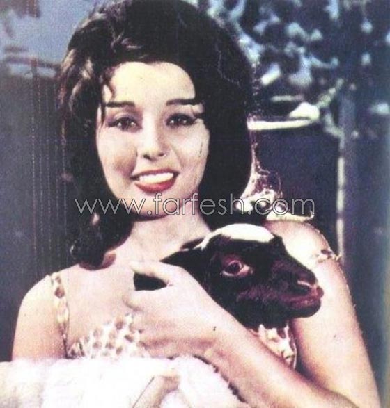 صور فنانين مع خروف العيد منهم محمد رمضان، الراقصة دينا والشحرورة صورة رقم 11 صور فنانين مع خروف العيد منهم محمد رمضان، الراقصة دينا والشحرورة صورة رقم 11