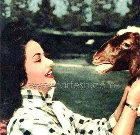 صور فنانين مع خروف العيد منهم محمد رمضان، الراقصة دينا والشحرورة صورة رقم 6 صور فنانين مع خروف العيد منهم محمد رمضان، الراقصة دينا والشحرورة صورة رقم 6