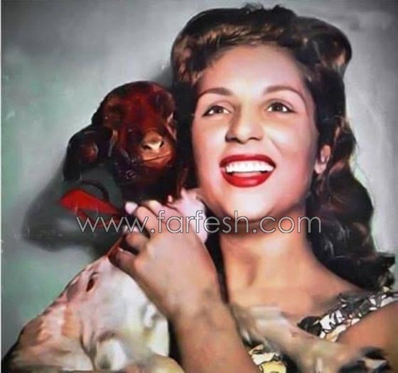 صور فنانين مع خروف العيد منهم محمد رمضان، الراقصة دينا والشحرورة صورة رقم 5 صور فنانين مع خروف العيد منهم محمد رمضان، الراقصة دينا والشحرورة صورة رقم 5