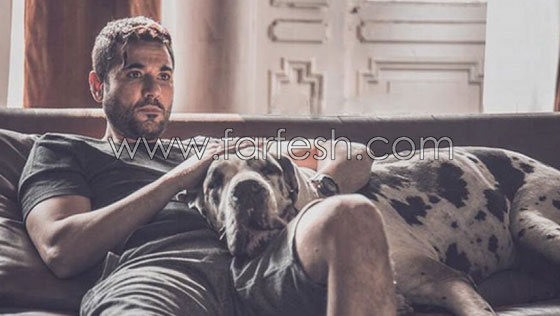 ماذا قال أحمد عزّ عن تفوق فيلمه (الخلية) على (كنز) محمد رمضان؟ صورة رقم 4 ماذا قال أحمد عزّ عن تفوق فيلمه (الخلية) على (كنز) محمد رمضان؟ صورة رقم 4