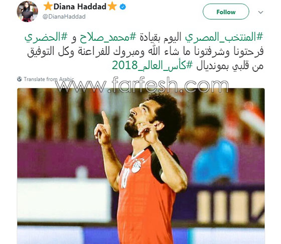 شاهدوا كيف احتفل النجوم بصعود مصر إلى كأس العالم.. صور صورة رقم 4