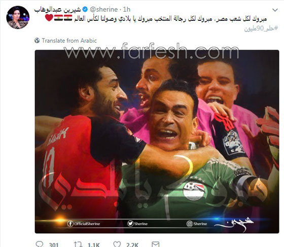 شاهدوا كيف احتفل النجوم بصعود مصر إلى كأس العالم.. صور صورة رقم 5