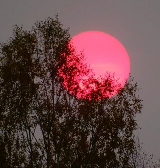 بالفيديو والصور.. اللون الأحمر والبرتقالي يصبغان شمس وسماء روسيا بالكامل! صورة رقم 4