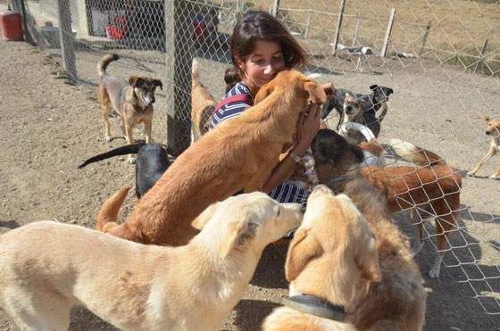 فضلت العيش مع الحيوانات.. سليمة المغربية تهدي الحيوانات الضالة مأوى صورة رقم 5