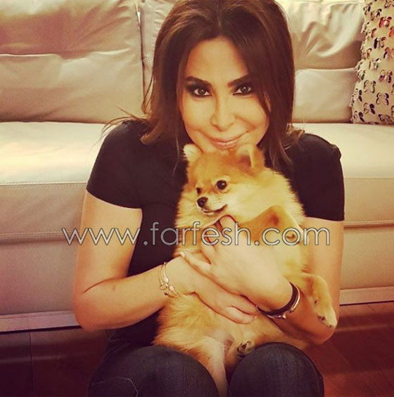 فارس أحلام اليسا: وسيم مبتسم عيونه ساحرة, والغيرة تقتل الحب! صورة رقم 5 فارس أحلام اليسا: وسيم مبتسم عيونه ساحرة, والغيرة تقتل الحب! صورة رقم 5