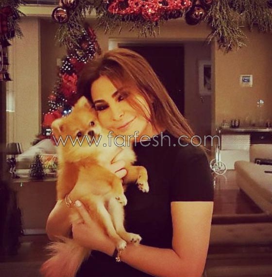  مسلسلات برو خاص: صورة اليسا تكشف تقدمها في العمر والجمهور: (عجزتي يا ست الكل!) صورة رقم 5