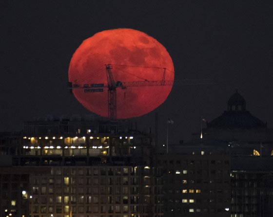 صور القمر العملاق يضيء السماء في ارجاء العالم صورة رقم 7