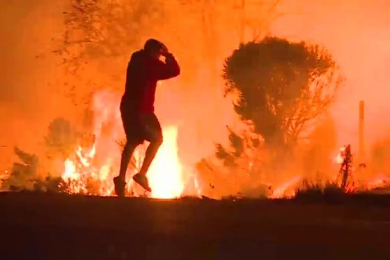 فيديو مؤثر.. أميركي يخاطر بحياته وسط النار لسبب غريب صورة رقم 1