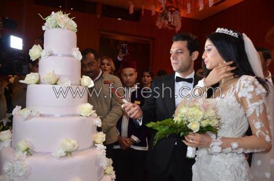 ثنائيات فنية شّكل زواجهما صدمة للجمهور في 2017 صورة رقم 3