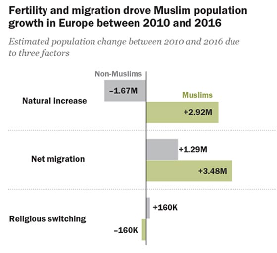  5 حقائق عن مسلمي أوروبا لا نعلم بها صورة رقم 4