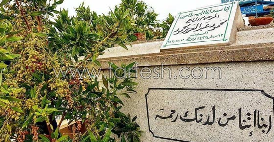 مواقف غريبة للنجوم في عيد الحب: زيارة المقابر وتناول البصل صورة رقم 8 مواقف غريبة للنجوم في عيد الحب: زيارة المقابر وتناول البصل صورة رقم 8