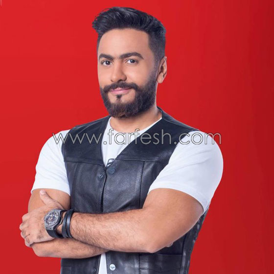 6 فنانين عرب تورّطوا مع القانون فهل يسامحهم الجمهور؟ صورة رقم 5