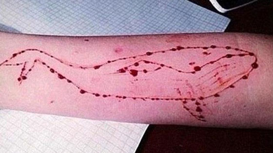  لعبة الحوت الازرق تدفع ابن سياسي مصري الى الانتحار!  صورة رقم 5