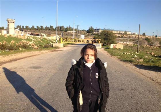 فيديو الطفلة الفلسطينية جنى جهاد تهزم جنود الاحتلال واسرائيل تصنفها (اخطر من عهد التميمي) صورة رقم 3