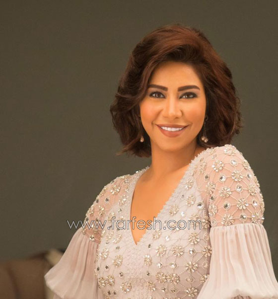 بالفيديو: شيرين عبد الوهاب تنفي شائعة الحمل بطريقة غريبة! صورة رقم 4