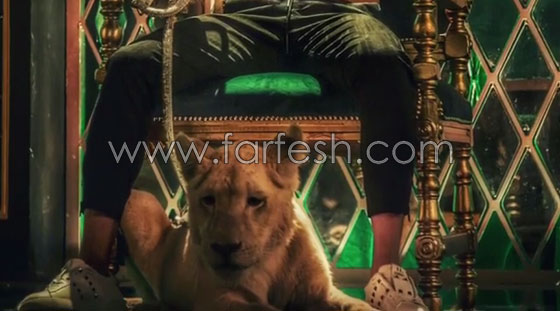 هجوم قاسي على محمد رمضان: بعد نمبر وان طرح فيديو (أنا ملك الغابة) صورة رقم 5 هجوم قاسي على محمد رمضان: بعد نمبر وان طرح فيديو (أنا ملك الغابة) صورة رقم 5