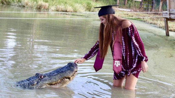 بالفيديو والصور.. طالبة جامعية أمريكية تحتفل بتخرجها مع تمساح صورة رقم 2