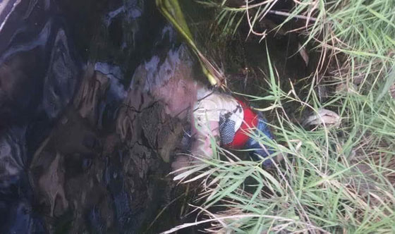 حادثة هزت مصر في العيد: أب رمى طفليه بالنيل ليدخلوا الجنة وأم تكرر الجريمة ذاتها! صورة رقم 5